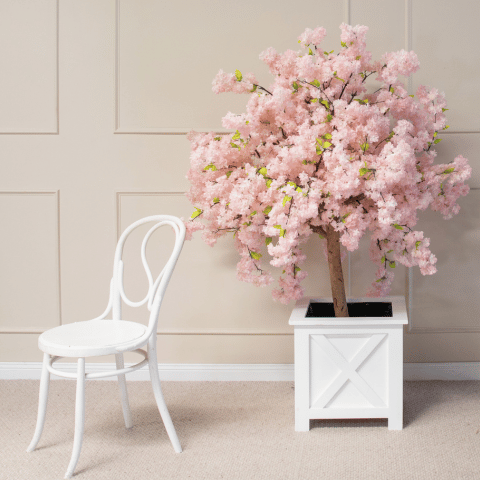 150cm cherry blossom tree in planter box next to next to white Bentwood chair in front of panelled wall