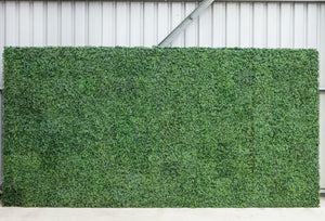 Arch Hire - Backdrop 200cm Boxwood Topiary Foliage Wall Melbourne Hire