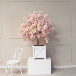 150cm cherry blossom tree in planter box on plinth next to next to white Bentwood chair in front of panelled wall