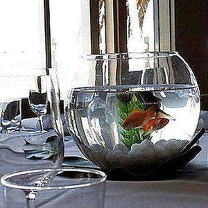 Centrepiece Hire - Centrepiece Rent Goldfish In Fish Bowl Beach Event Melbourne Hire